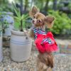 Cherry Stripe Harness Dress with Matching Leash New Spring 2026