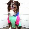 Color-Block Flex Fit Hoodie - Pink on Mint