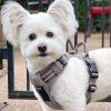 Venture Paw PULL CONTROL Harness - Sage -          Made with tough Outer Duck Fabric and Soft Mesh Lining. No Pulling Front and Top D-Ring