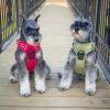 Venture Paw PULL CONTROL Harness - Crimson -          Made with tough Outer Duck Fabric and Soft Mesh Lining. No Pulling / Front and Top D-Ring