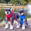 Venture Paw PULL CONTROL Harness - Crimson -          Made with tough Outer Duck Fabric and Soft Mesh Lining. No Pulling / Front and Top D-Ring